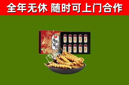 云州区烟酒回收冬虫夏草礼盒.jpg