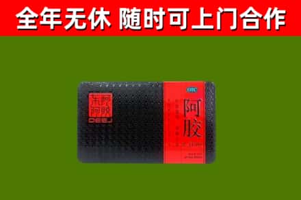 云州区回收阿胶