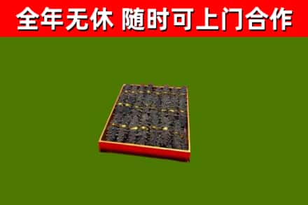 云州区回收海参